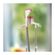 imageUrl_6