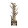 imageUrl_5