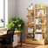 imageUrl_6