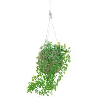 Planta Colgante DECO HOME Marruecos