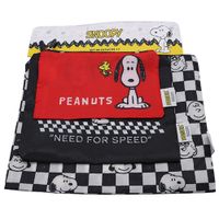 Set Estuches STATEMENT Snoopy 3b