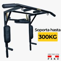 Barra Multifuncional Dominadas 10 Ejercicios en 1 Modelo Pro
