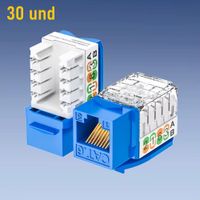 Jack Keystone RJ45 CAT6 Conector Modular de 90 grados - 30 Unidad