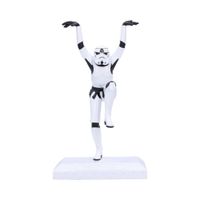 Star Wars Stormtrooper Crane Kick