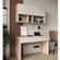 imageUrl_3