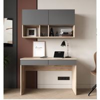 Escritorio Moderno SET Amelia Duna y Negro RyR Muebles