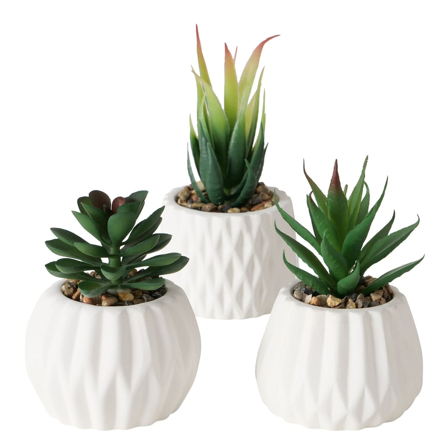 Planta Pot Suculenta 15 Cm