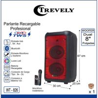 Parlante dual 8 TREVELY WT-826 100W + karaoke