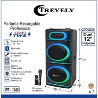Parlante dual 12 TREVELY WT-1240 500W + karaoke