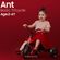 imageUrl_6