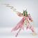 imageUrl_4