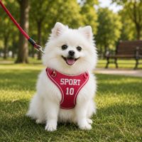 Arnés para Perros Rojo Talla S