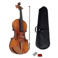 Violín Starsun 4-4 con Estuche y Accesorios