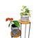 imageUrl_4