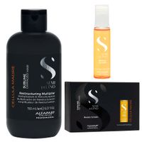 Alfaparf Cellula Madre Reestructuración Multiplier 150 ml y BGenesis 12x13ml