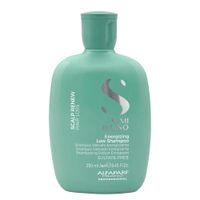 ALFAPARF Shampoo Anticaída Scalp Renew Hair Loss 250 ml