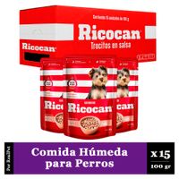 Pack x15 Comida Húmeda de Cachorro Ricocan Pollo 100gr