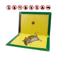 Trampa Pega Rata PACK 10 UNID.