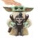 imageUrl_2