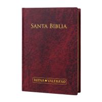 Santa Biblia Reina Valeria Letra Grande