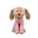image-39eed3fc96864b23842e33da15ce89ac