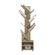 image-de7089ebc7b7449280d46e5abd287166