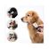 imageUrl_2