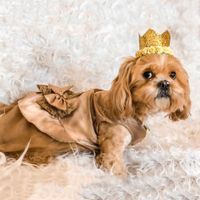 VESTIDO MASCOTA DORADO CON TUL Y LAZO ENCAJE - TALLA XS
