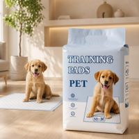 Training Pad- Pañal de Piso Talla M
