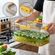 imageUrl_2