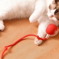 Pelota Interactiva Automático Juguete Recargable para Mascotas