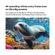 imageUrl_8