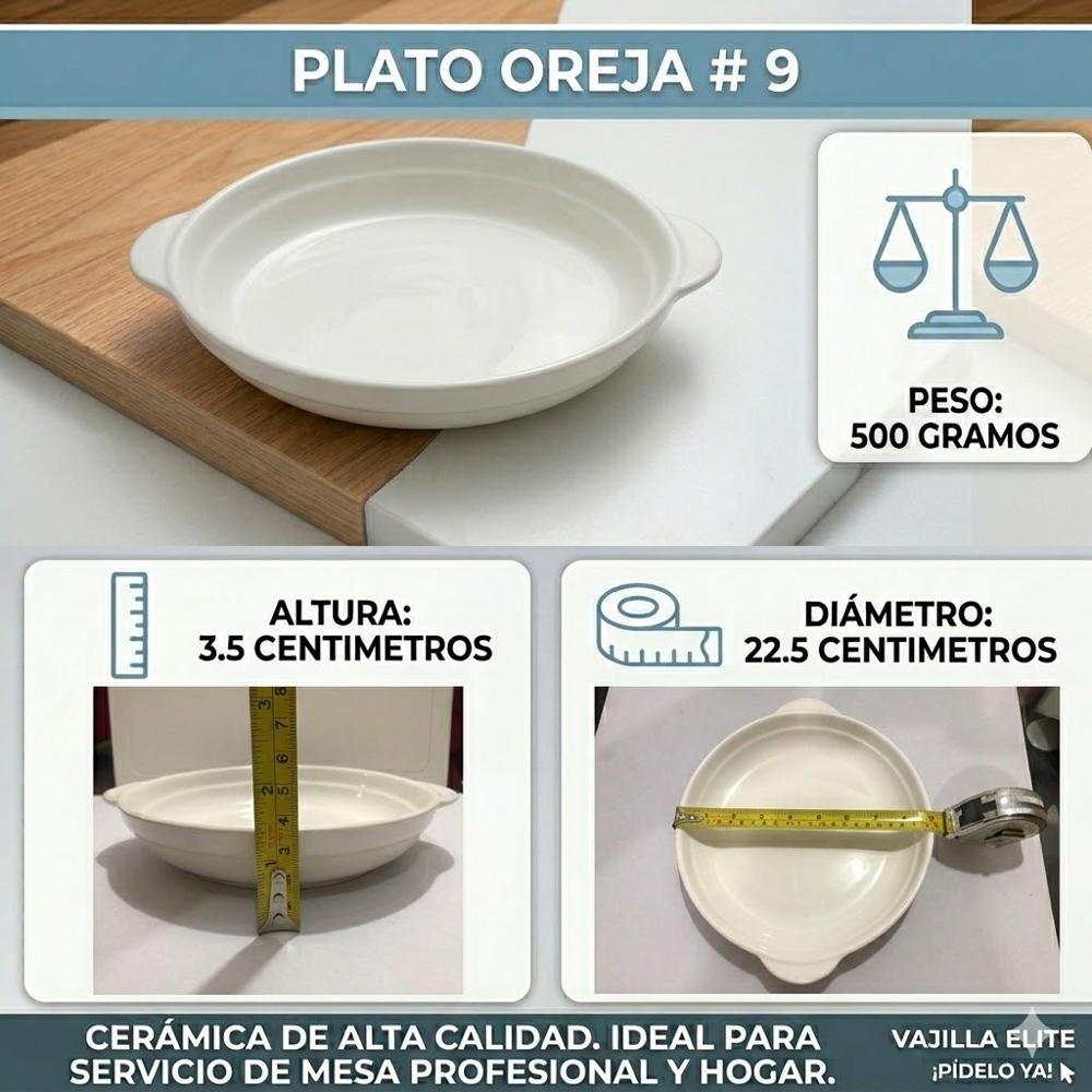 PLATON  HOTELERO BLANCO 9 CON ASA PACK X 6 UND