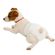 imageUrl_2