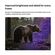 imageUrl_3