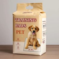 Training Pad - Pañal de Piso Talla XL - 60 x 90 cm