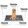 imageUrl_4