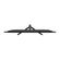 imageUrl_6