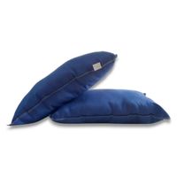 Pack 2 Almohadas Nuth Microfibra Poliéster Confort - Azul Arlin 60 X 40
