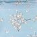imageUrl_4