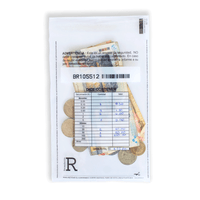 Empaque de Recaudación 22 x 13 cm x 30 Unidades - Bolsa de Seguridad para Dinero y Documentos