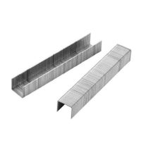 Grapas 1.2 x 12mm 1000 pcs TOLSEN - 43030