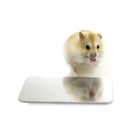 Placa Refrigerante Para Hamster De Aluminio