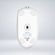 imageUrl_5