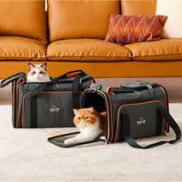 Maletín Expandible de Viaje para Mascotas Negro y Naranja