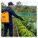 imageUrl_5