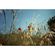 imageUrl_3