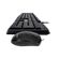 imageUrl_3