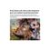imageUrl_5