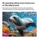 imageUrl_7